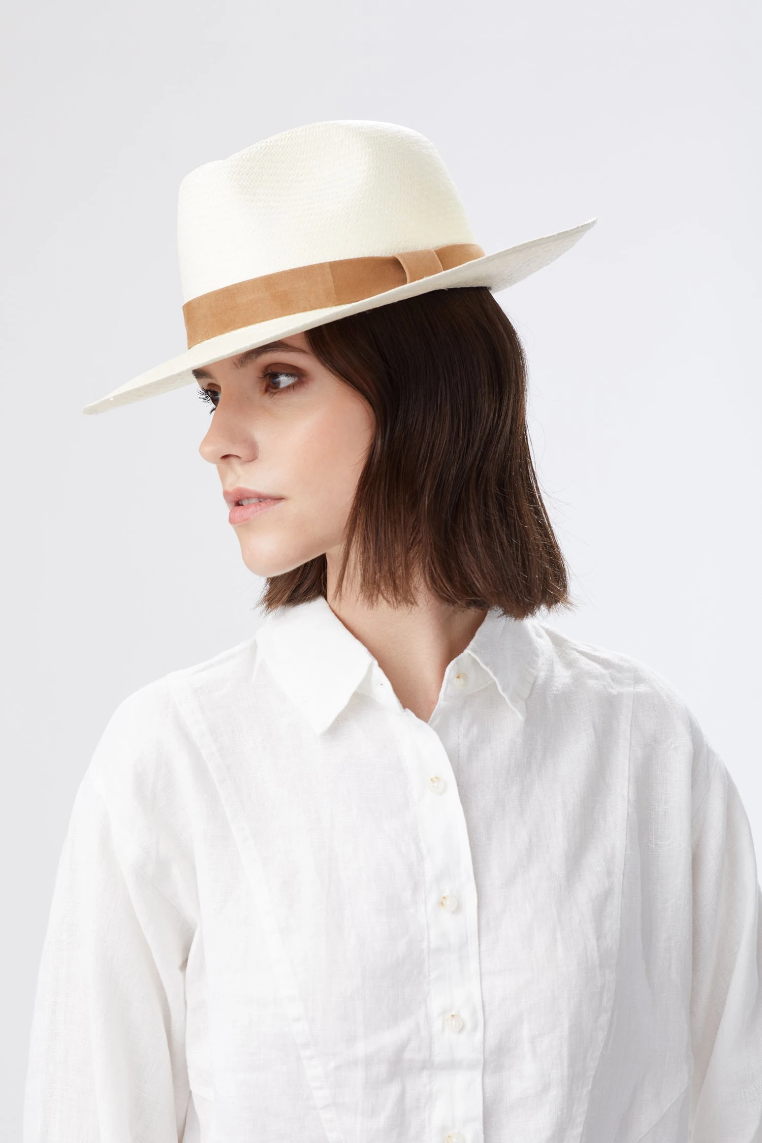 Cassis Panama 2 Cassis Panama - Image 2