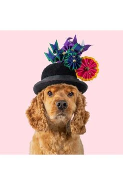 Lock and Co. Hatters Store -Lock and Co. Hatters Store HAUTE DOGS CALENDAR 2024 3