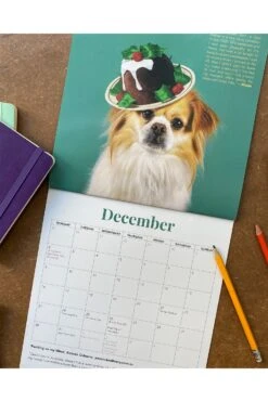 Haute Dogs Calendar 2024 -Lock and Co. Hatters Store HAUTE DOGS CALENDAR 2024 4