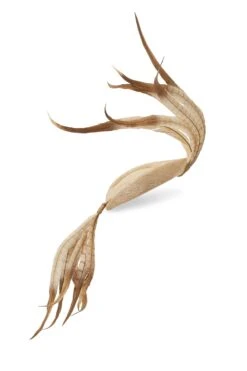 Lapsang Natural Percher Hat -Lock and Co. Hatters Store LAPSANG NATURAL 1