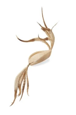 Lock and Co. Hatters Store -Lock and Co. Hatters Store LAPSANG NATURAL 2