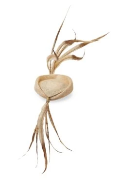 Lapsang Natural Percher Hat -Lock and Co. Hatters Store LAPSANG NATURAL 3