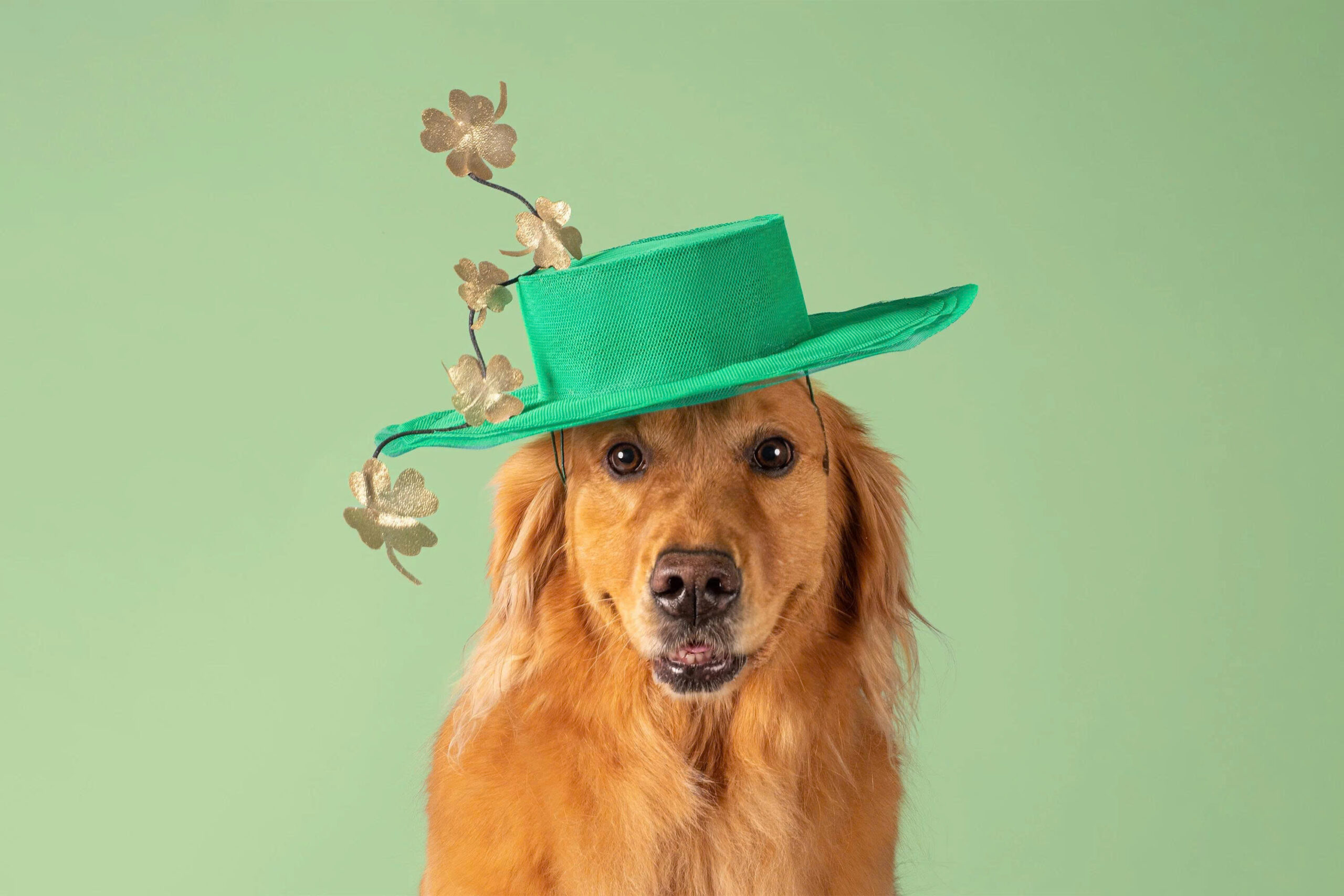 Lock and Co. Hatters Store -Lock and Co. Hatters Store z6755153854247 6d10c57ac9c7af9c53445c87ec6ed389 scaled